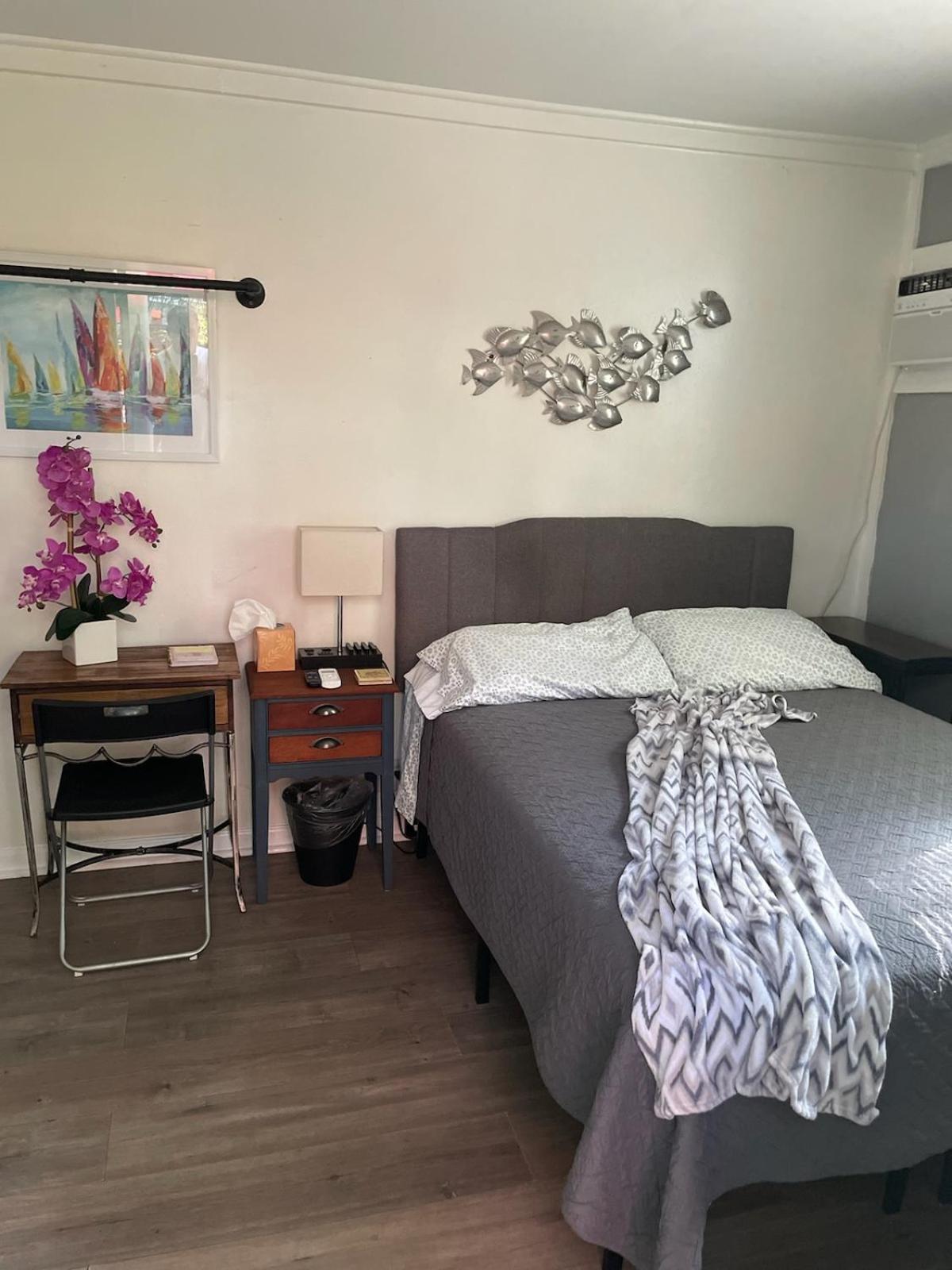 Lovely Studio Apartment With Kitchenette. Tampa Exterior foto